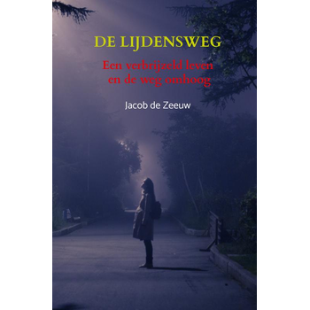 De lijdensweg (Paperback) bij Singel 344
