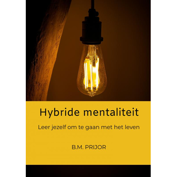 Hybride mentaliteit (Paperback) bij Singel 344