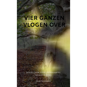 VIER GANZEN VLOGEN OVER (Paperback) bij Singel 344