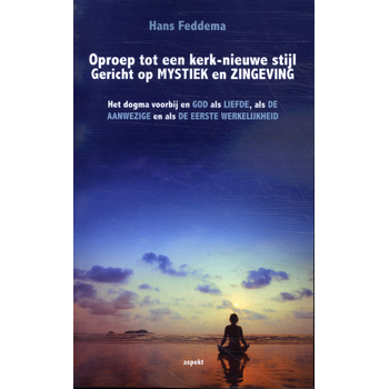 Oproep tot een kerk-nieuwe stijl Gericht op mystiek en zingeving (Paperback) bij Singel 344