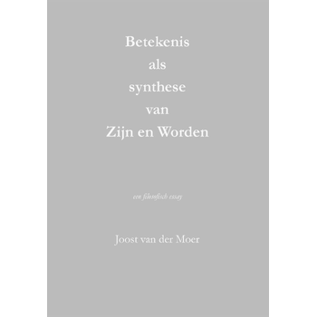 Betekenis als synthese van Zijn en Worden (Paperback) bij Singel 344
