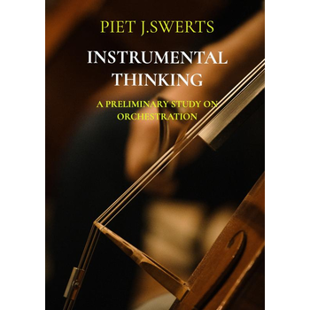 INSTRUMENTAL THINKING (Paperback) bij Singel 344