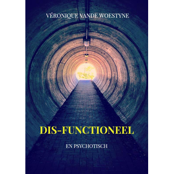 DIS-functioneel (Paperback) bij Singel 344