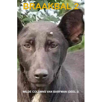 Braakbal 2 (Paperback) bij Singel 344