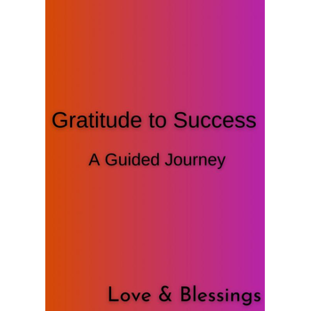 Gratitude to Success (Paperback) bij Singel 344