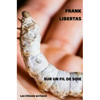 Sur un fil de soie (Paperback) bij Singel 344