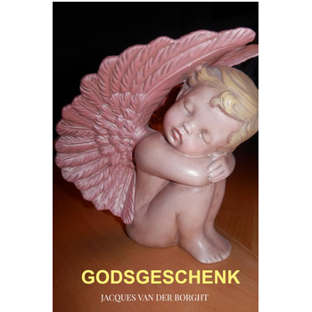 Godsgeschenk (Paperback) bij Singel 344