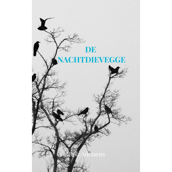 De Nachtdievegge (Paperback) bij Singel 344