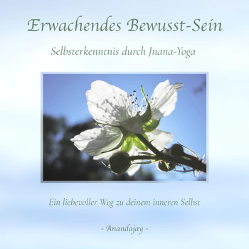 Erwachende Bewusstsein (Paperback) bij Singel 344