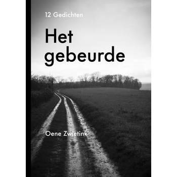 Het gebeurde (Paperback) bij Singel 344