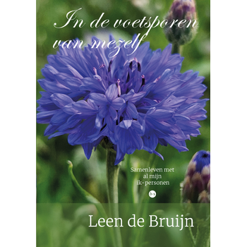 In de voetsporen van mezelf (Paperback) bij Singel 344