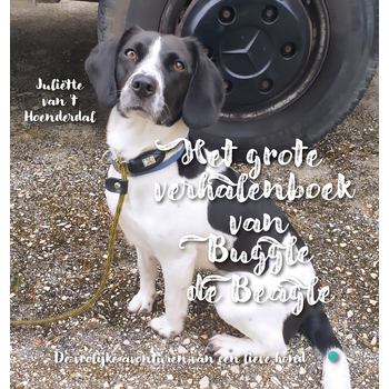Het grote verhalenboek van Buggle de Beagle (Hardback) bij Singel 344