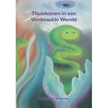 Thuiskomen in een Verdwaalde Wereld (Paperback) bij Singel 344