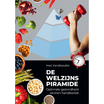 Welzijnspiramide (Paperback) bij Singel 344