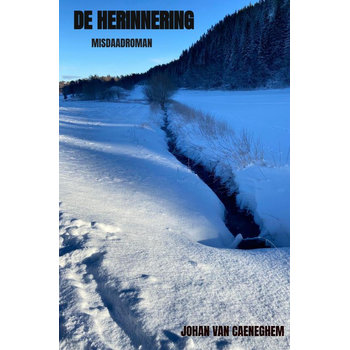 De herinnering (Paperback) bij Singel 344