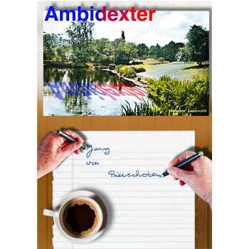 Ambidexter (Paperback) bij Singel 344