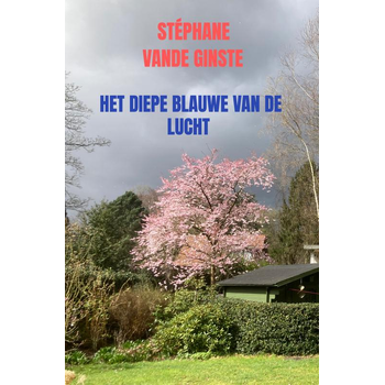 Het diepe blauwe van de lucht (Paperback) bij Singel 344