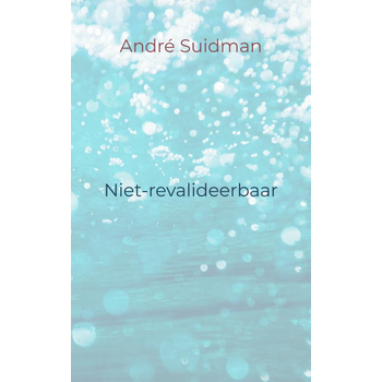 Niet-revalideerbaar (Paperback) bij Singel 344