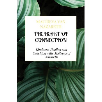 The Heart of Connection (Paperback) bij Singel 344