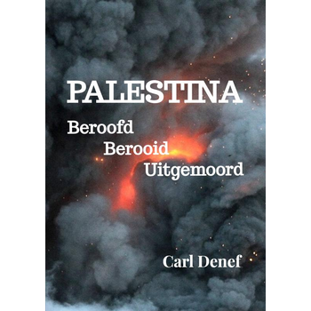 Palestina, Beroofd, Berooid, Uitgemoord (Paperback) bij Singel 344