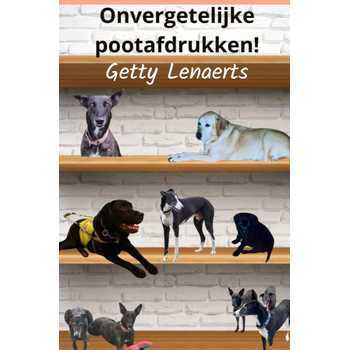 Onvergetelijke pootafdrukken! (Paperback) bij Singel 344