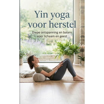Yin yoga voor herstel (Paperback) bij Singel 344