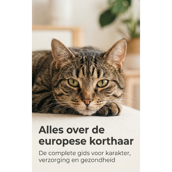Alles over de europese korthaar (Paperback) bij Singel 344