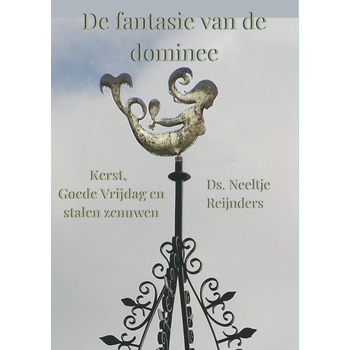 De fantasie van de dominee (Paperback) bij Singel 344