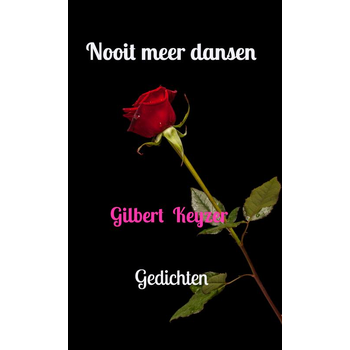 Nooit meer dansen (Paperback) bij Singel 344