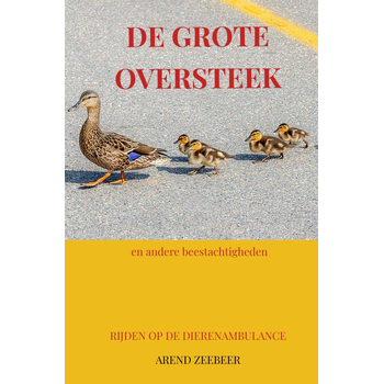 De Grote Oversteek (Paperback) bij Singel 344