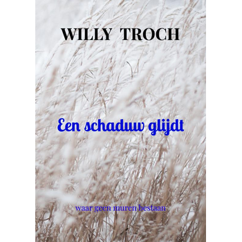 Een schaduw glijdt (Paperback) bij Singel 344