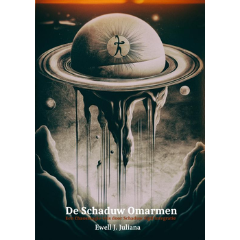 De Schaduw Omarmen (Paperback) bij Singel 344