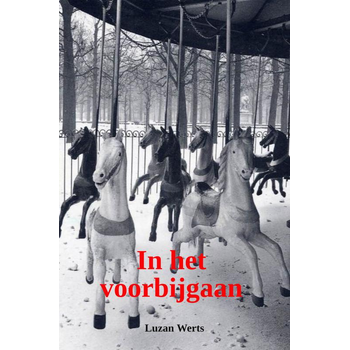 in het voorbijgaan (Paperback) bij Singel 344