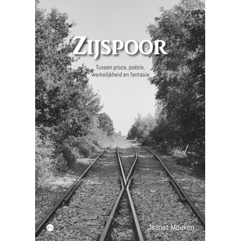 Zijspoor (Paperback) bij Singel 344