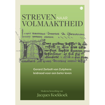 Streven naar volmaaktheid (Paperback) bij Singel 344
