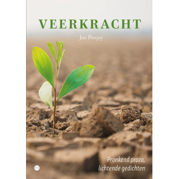 Veerkracht (Paperback) van Jan Perquy