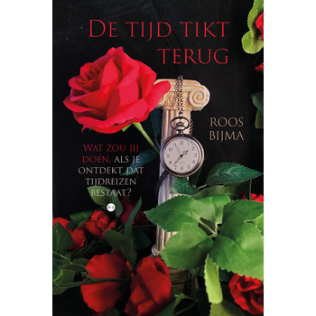 De tijd tikt terug (Paperback) bij Singel 344