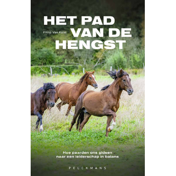Het pad van de hengst (Paperback) bij Singel 344