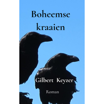Boheemse kraaien (Paperback) bij Singel 344