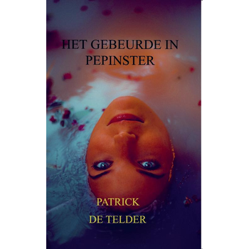 Het gebeurde in Pepinster (Paperback) bij Singel 344