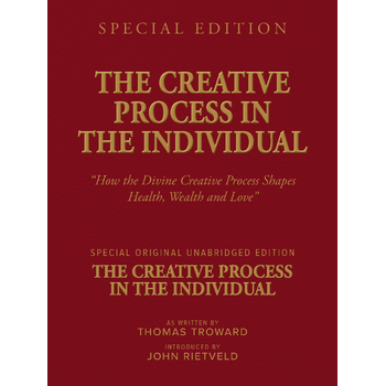 THE CREATIVE PROCESS IN THE INDIVIDUAL (Paperback) bij Singel 344