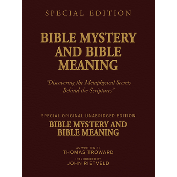 BIBLE MYSTERY AND BIBLE MEANING (Paperback) bij Singel 344