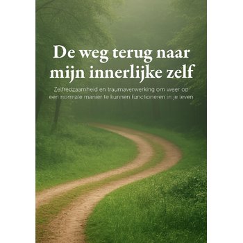 De weg terug naar mijn innerlijke zelf (Paperback) bij Singel 344