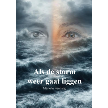 Als de storm weer gaat liggen (Paperback) bij Singel 344