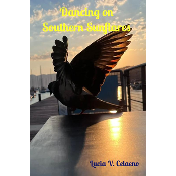 Dancing on Southern Sunflares (Paperback) bij Singel 344