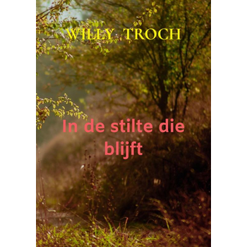 In de stilte die blijft (Paperback) bij Singel 344