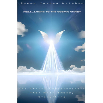 Rebalancing To The Cosmic Christ (Hardback) bij Singel 344