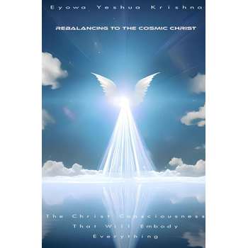 Rebalancing To The Cosmic Christ (Hardback) bij Singel 344
