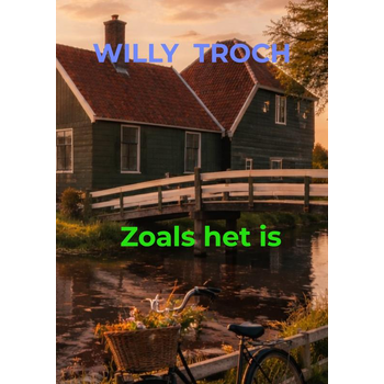 Zoals het is (Paperback) bij Singel 344