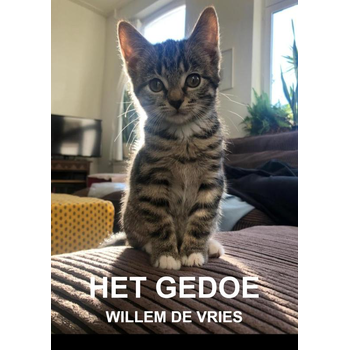 Het gedoe (Paperback) bij Singel 344